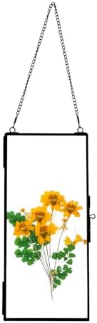 AihuaAili Hanging Pressed Flower Frame Black 41x9 Inches