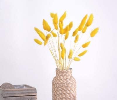 60pcs 16 Inch Dried Bunny Tail Grass Yellow Boho Decor