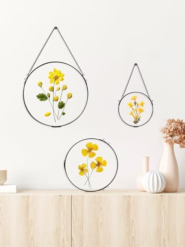REDHUGO Brass Floating Frame for Pressed Flowers