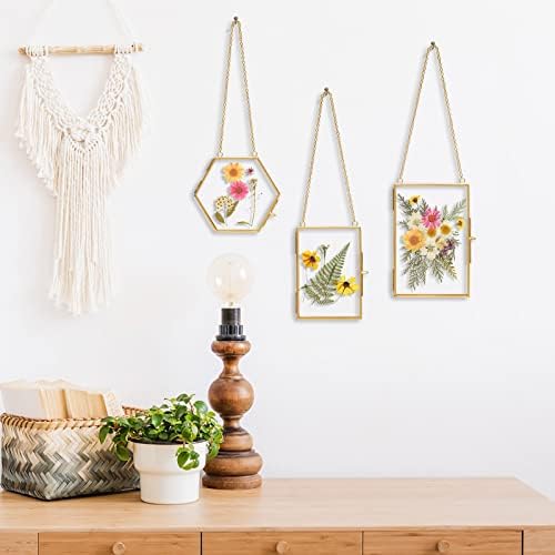 Double Glass Frame with Real Dried Flowers and Tweezer for Crafts