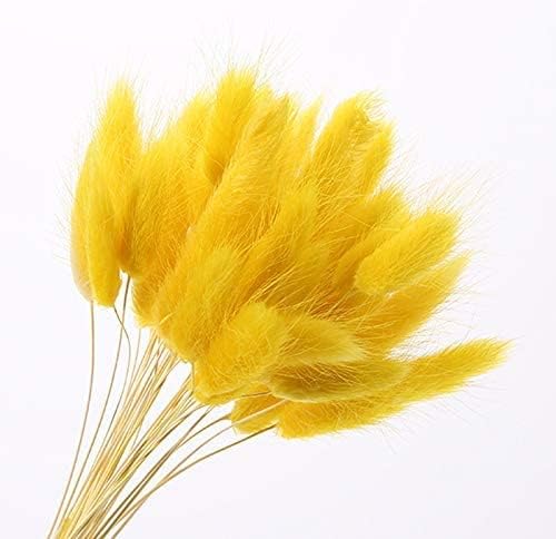 60pcs 16 Inch Dried Bunny Tail Grass Yellow Boho Decor