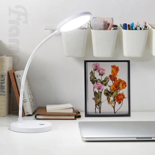 Framendino Black Wooden Dried Flower Frame Shadow Box 8x10 Double Acrylic Picture