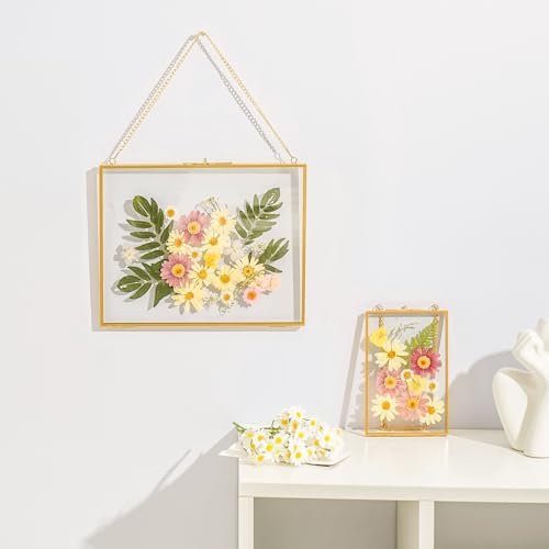 8x10 Pressed Flowers Gold Frame with Chain