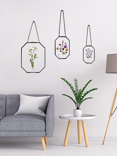 Pressed Flower Frames with Brass Accents 8x10 Inches