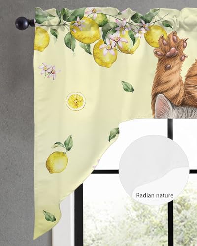 Lemon Flower Cats Valance Curtains for Kitchen Bedroom and Living Room Windows