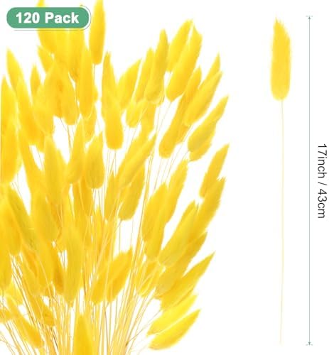 17 Inch Golden Yellow Dried Bunny Tails Grass Decor