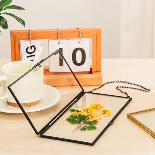 AihuaAili Hanging Pressed Flower Frame Black 41x9 Inches