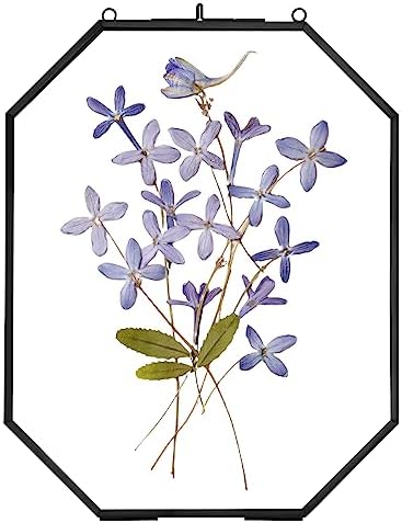 Pressed Flower Frames with Brass Accents 8x10 Inches