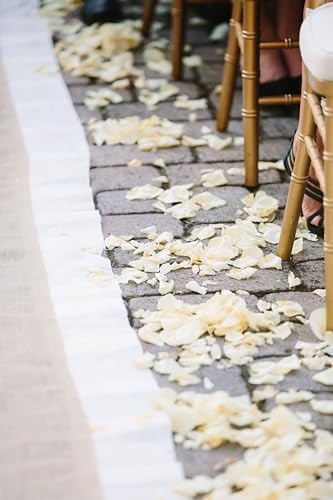Petal Garden Freeze Dried Rose Petals 60 Cups Ivory