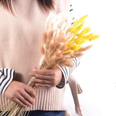 60pcs 16 Inch Dried Bunny Tail Grass Yellow Boho Decor