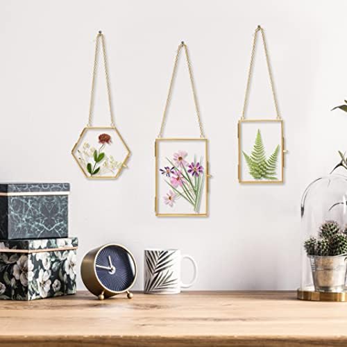 Double Glass Frame with Real Dried Flowers and Tweezer for Crafts