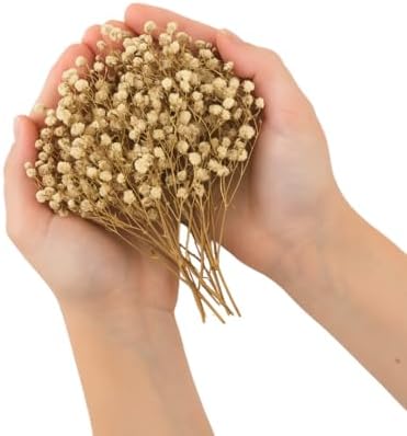 Dried Babys Breath Confetti - Biodegradable Wedding Decoration 8oz Box