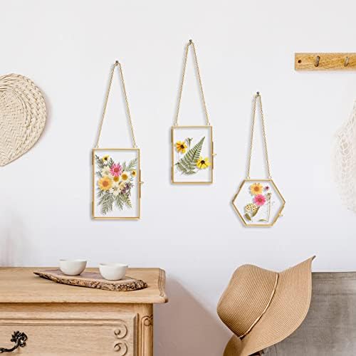 Double Glass Frame with Real Dried Flowers and Tweezer for Crafts
