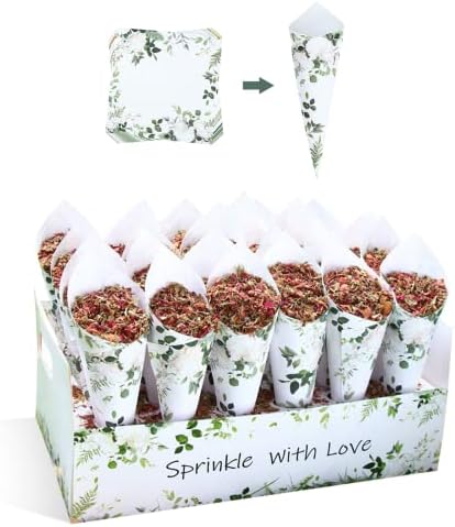 30 Pieces Biodegradable Confetti Cones and Stand Tray Box Green
