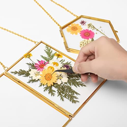Double Glass Frame with Real Dried Flowers and Tweezer for Crafts