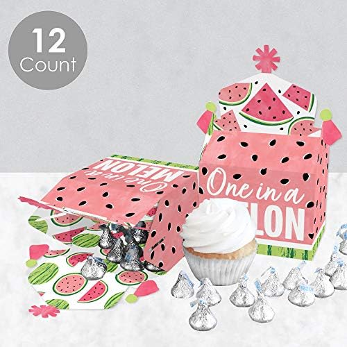 Big Dot of Happiness Sweet Watermelon Treat Box Set of 12