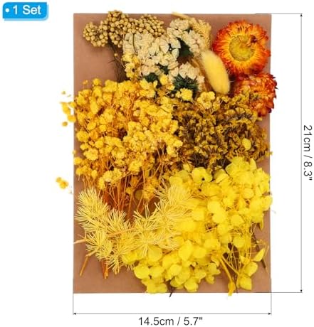 PATIKIL Pressed Dried Flowers for DIY Crafts Decor