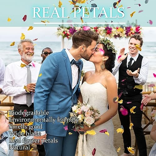 2 Quart Mix Biodegradable Flower Petals Confetti