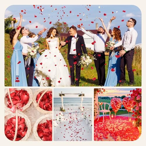 eZAKKA 1500pcs Real Dried Hydrangea Petals Red