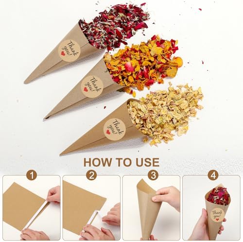PATIKIL Dried Flower Confetti Cones Red 30Pcs