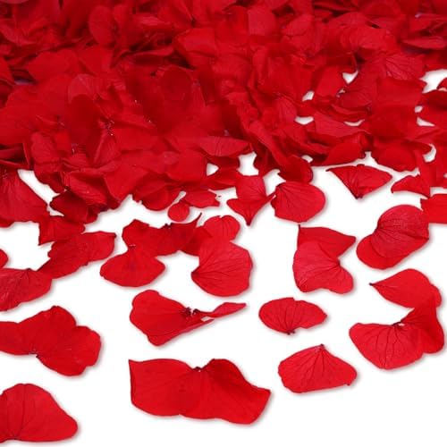 eZAKKA 1500pcs Real Dried Hydrangea Petals Red