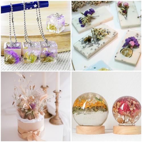 PATIKIL Pressed Dried Flowers for DIY Crafts Decor