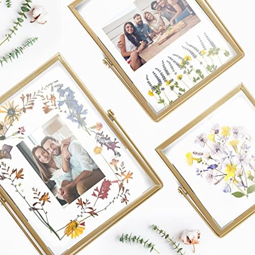 Gold Floating Frame Set with 68 Dried Flowers and Tweezer