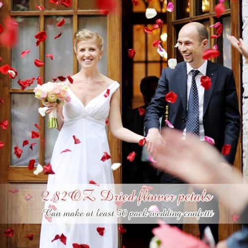 Suncalla Biodegradable Confetti Red Rose Petals 60 Pcs Wedding Decor