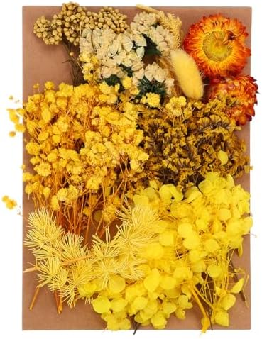 PATIKIL Pressed Dried Flowers for DIY Crafts Decor