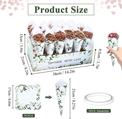 30 Pieces Biodegradable Confetti Cones and Stand Tray Box Green