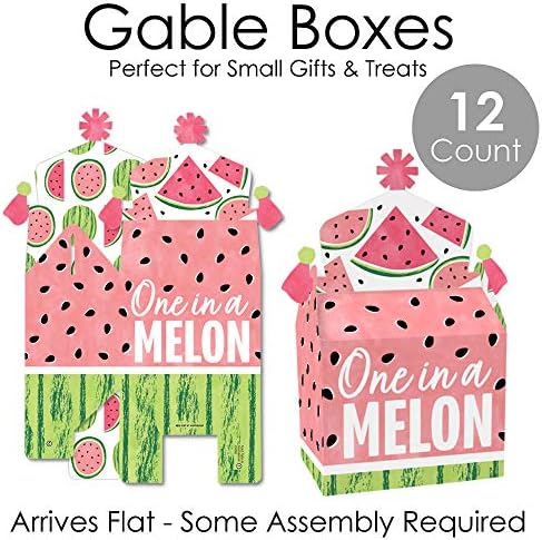 Big Dot of Happiness Sweet Watermelon Treat Box Set of 12