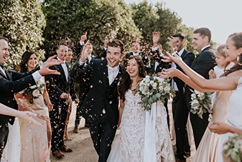 TooGet Wedding Confetti Dried Flower Petals 115g Red Roses