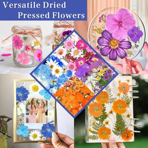 Mivanka Magnetic Photo Frames with Vacuum Seal Bags 5PCS