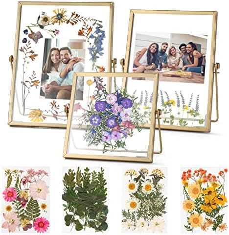 Gold Floating Frame Set with 68 Dried Flowers and Tweezer