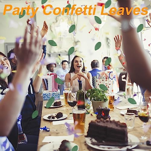 Koceko 3500 Preserved Eucalyptus Leaves - Natural Biodegradable Confetti for Events