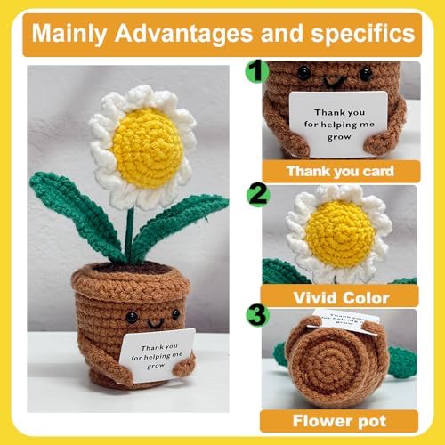 2PCS Handmade Crochet Sunflower and Daisy Decor