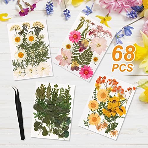 Double Glass Frame with Real Dried Flowers and Tweezer for Crafts