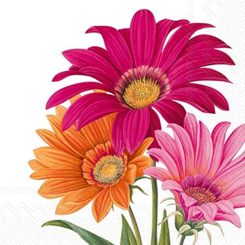 Ihr Ideal Home Party Napkins 3-Ply 65x65 20-Count