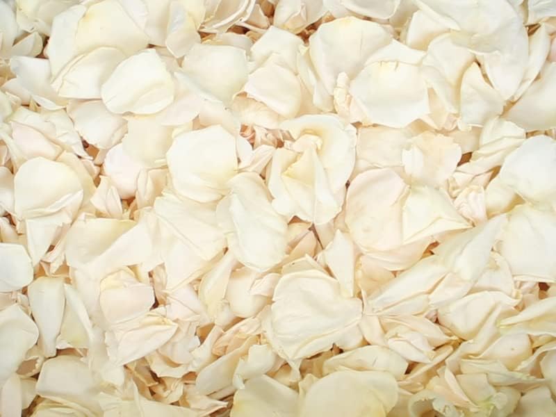 Petal Garden Freeze Dried Rose Petals 60 Cups Ivory