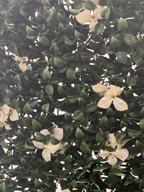 Purchase Green Artificial Ivy Gardenia White