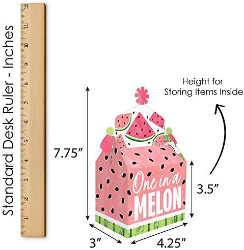 Big Dot of Happiness Sweet Watermelon Treat Box Set of 12