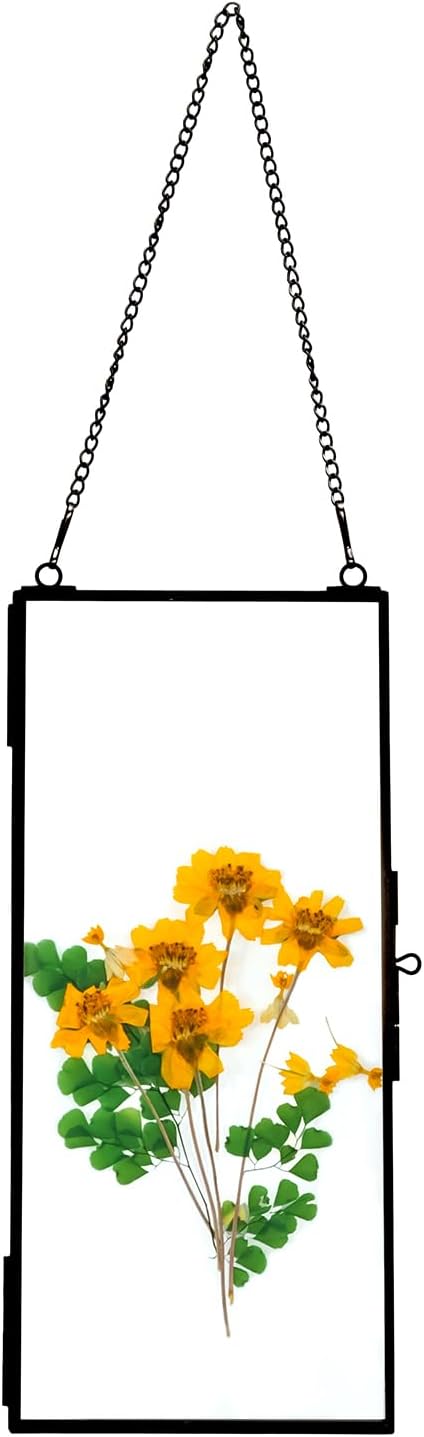 AihuaAili Hanging Pressed Flower Frame Black 41x9 Inches