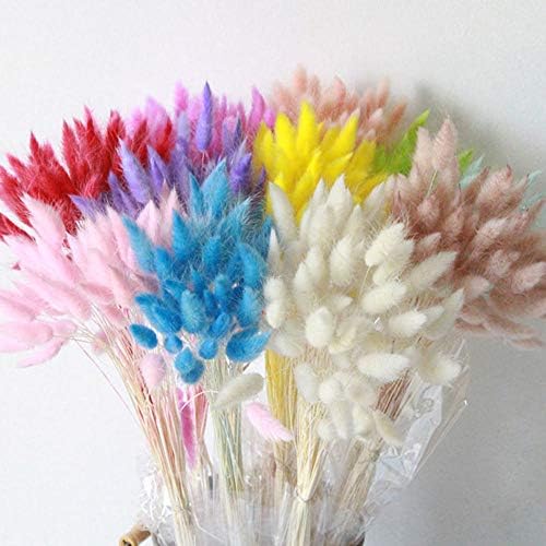 Natural Pastoral Style Dried Pampas Grass Bunny Tails 100pcs 45cm Yellow
