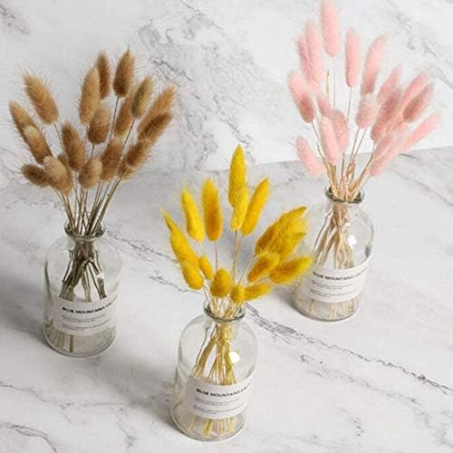 Natural Pastoral Style Dried Pampas Grass Bunny Tails 100pcs 45cm Yellow