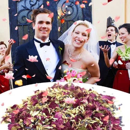 Homeemoh Party Confetti Natural Dried Rose Petals 12 Packs Biodegradable