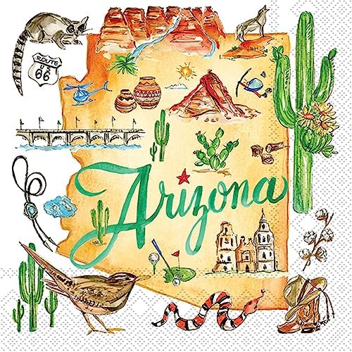 Ihr Ideal Home Range Cocktail Napkins Arizona 20-Count Pack