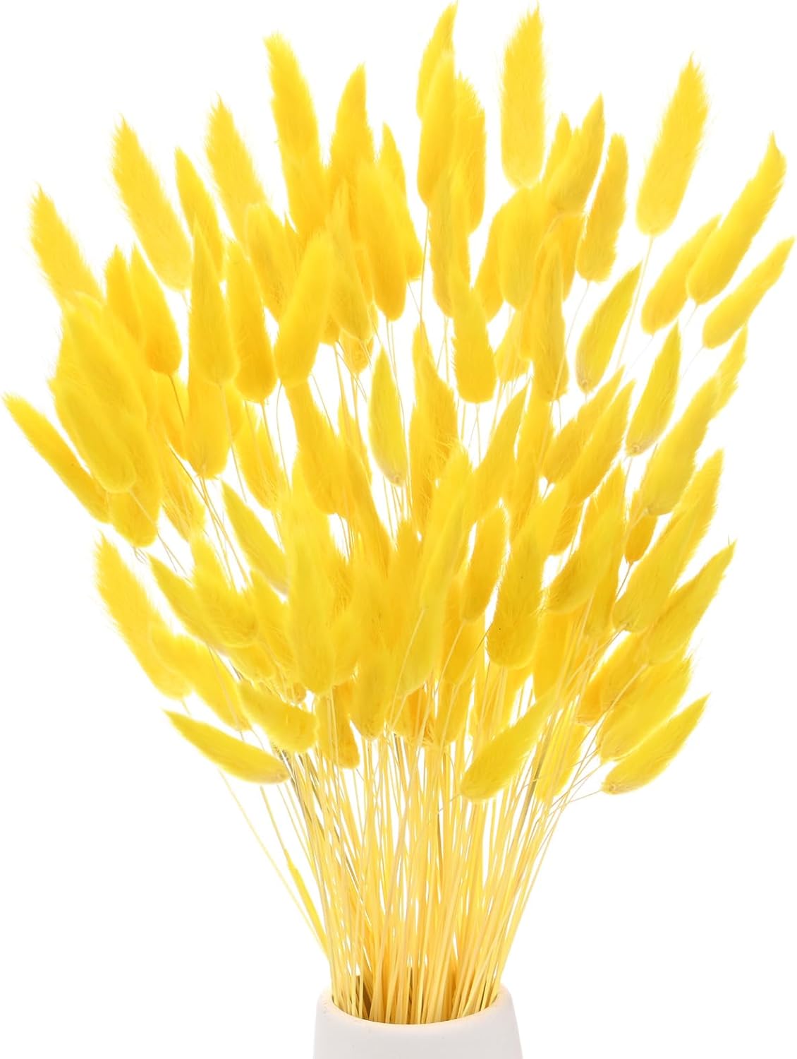 17 Inch Golden Yellow Dried Bunny Tails Grass Decor
