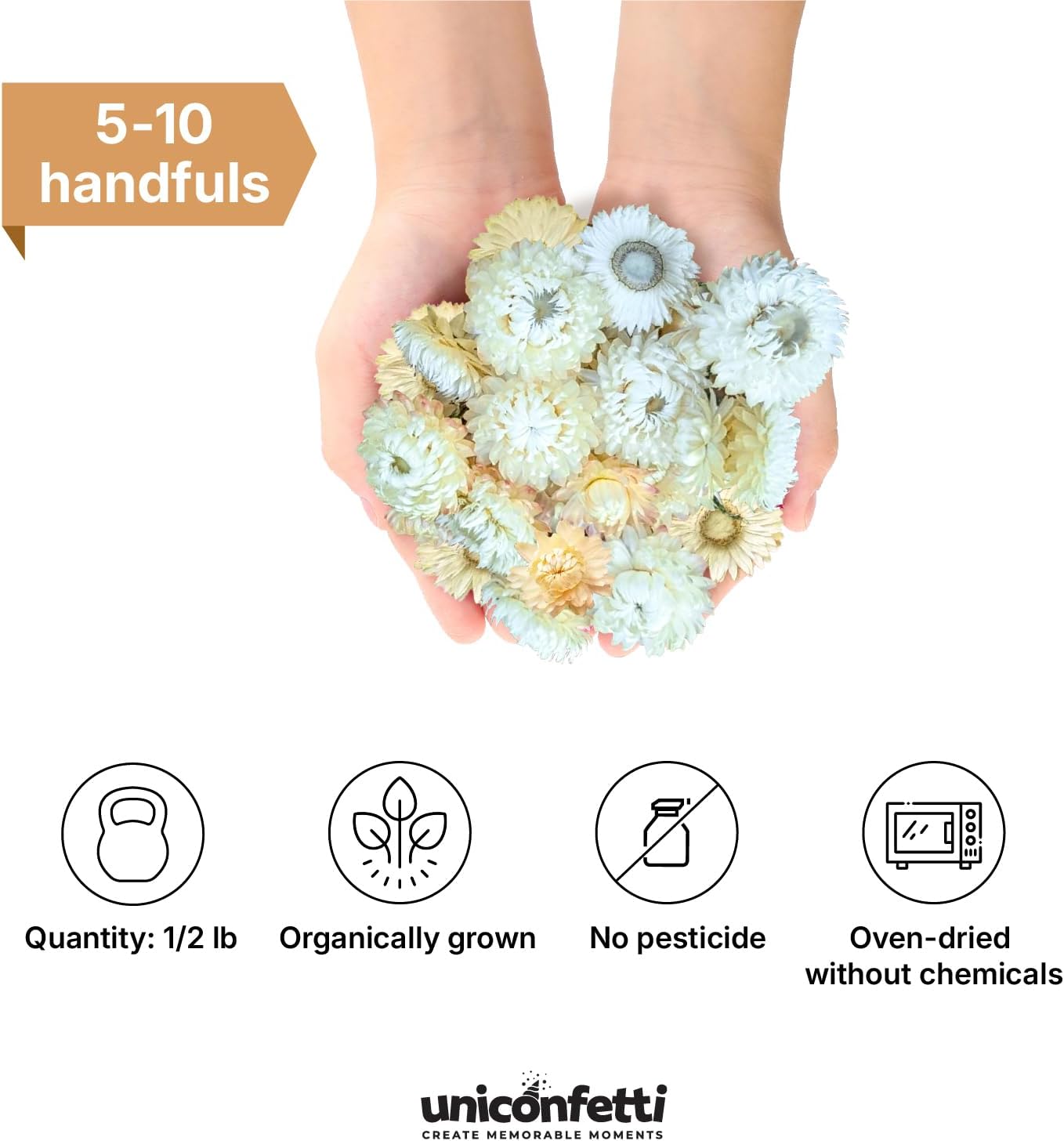 JAPJA Dried White Daisy Biodegradable Confetti - 8oz Boxed for Weddings and Parties