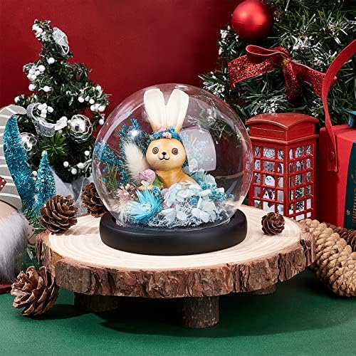 PH PandaHall Clear Glass Dome Cloche with Black Wood Base