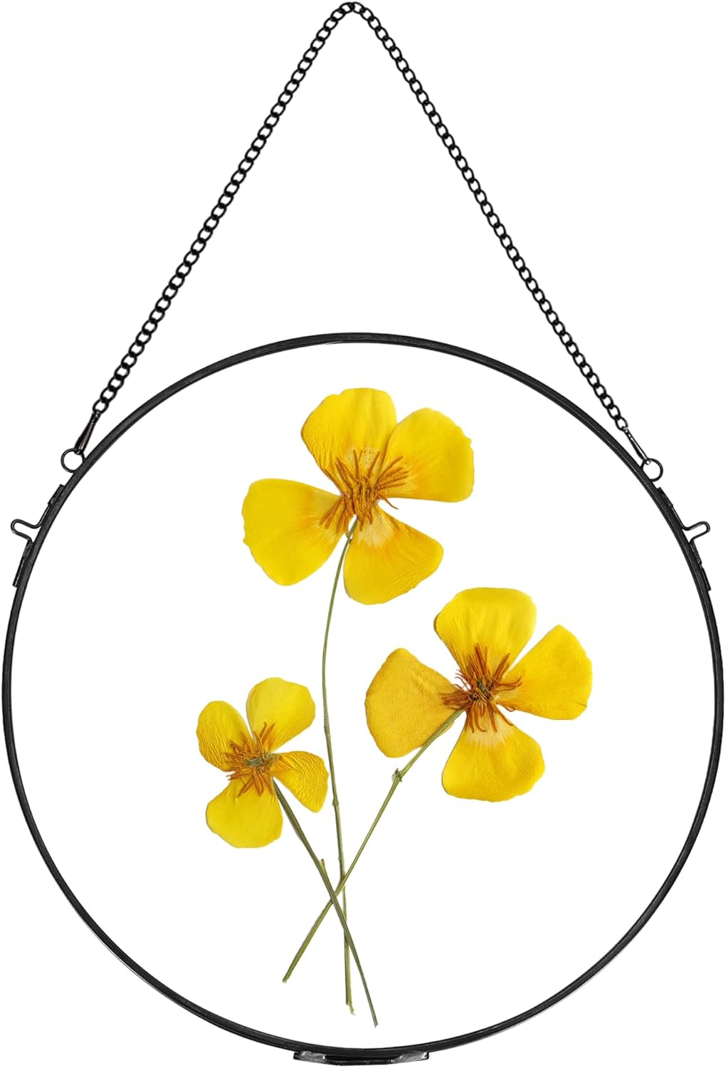 REDHUGO Brass Floating Frame for Pressed Flowers